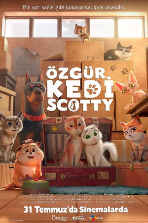 Özgür Kedi Scotty-Scotty (2026)